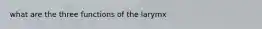 what are the three functions of the larymx