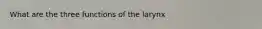What are the three functions of the larynx
