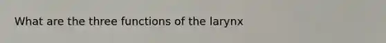 What are the three functions of the larynx