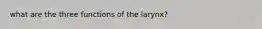 what are the three functions of the larynx?