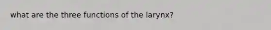 what are the three functions of the larynx?