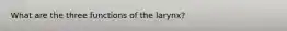 What are the three functions of the larynx?