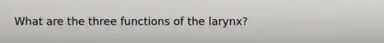 What are the three functions of the larynx?