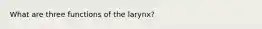 What are three functions of the larynx?