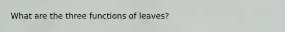 What are the three functions of leaves?