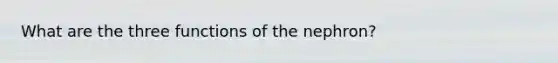 What are the three functions of the nephron?