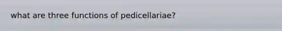 what are three functions of pedicellariae?