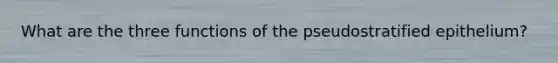 What are the three functions of the pseudostratified epithelium?