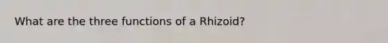 What are the three functions of a Rhizoid?