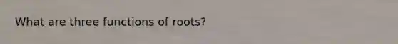 What are three functions of roots?