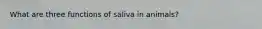 What are three functions of saliva in animals?