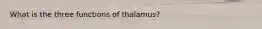 What is the three functions of thalamus?