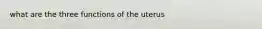 what are the three functions of the uterus