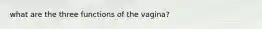 what are the three functions of the vagina?