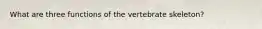 What are three functions of the vertebrate skeleton?