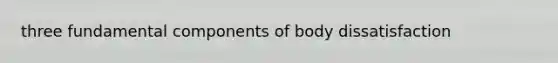 three fundamental components of body dissatisfaction