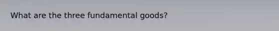 What are the three fundamental goods?