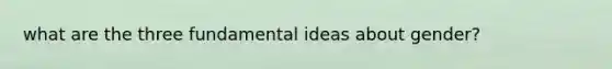 what are the three fundamental ideas about gender?