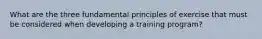 What are the three fundamental principles of exercise that must be considered when developing a training program?