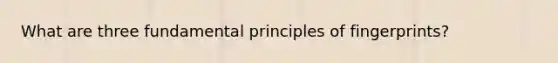 What are three fundamental principles of fingerprints?