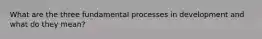 What are the three fundamental processes in development and what do they mean?