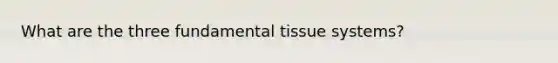 What are the three fundamental tissue systems?