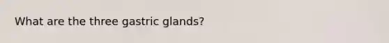 What are the three gastric glands?