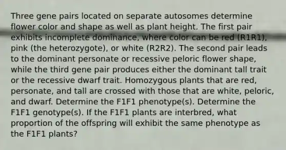 Three gene pairs located on separate autosomes determine flower color and shape as well as plant height. The first pair exhibits incomplete dominance, where color can be red (R1R1), pink (the heterozygote), or white (R2R2). The second pair leads to the dominant personate or recessive peloric flower shape, while the third gene pair produces either the dominant tall trait or the recessive dwarf trait. Homozygous plants that are red, personate, and tall are crossed with those that are white, peloric, and dwarf. Determine the F1F1 phenotype(s). Determine the F1F1 genotype(s). If the F1F1 plants are interbred, what proportion of the offspring will exhibit the same phenotype as the F1F1 plants?