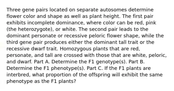 Three gene pairs located on separate autosomes determine flower color and shape as well as plant height. The first pair exhibits incomplete dominance, where color can be red, pink (the heterozygote), or white. The second pair leads to the dominant personate or recessive peloric flower shape, while the third gene pair produces either the dominant tall trait or the recessive dwarf trait. Homozygous plants that are red, personate, and tall are crossed with those that are white, peloric, and dwarf. Part A. Determine the F1 genotype(s). Part B. Determine the F1 phenotype(s). Part C. If the F1 plants are interbred, what proportion of the offspring will exhibit the same phenotype as the F1 plants?