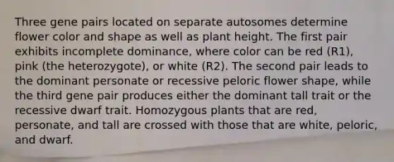 Three gene pairs located on separate autosomes determine flower color and shape as well as plant height. The first pair exhibits incomplete dominance, where color can be red (R1), pink (the heterozygote), or white (R2). The second pair leads to the dominant personate or recessive peloric flower shape, while the third gene pair produces either the dominant tall trait or the recessive dwarf trait. Homozygous plants that are red, personate, and tall are crossed with those that are white, peloric, and dwarf.