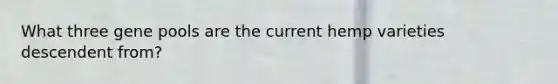 What three gene pools are the current hemp varieties descendent from?