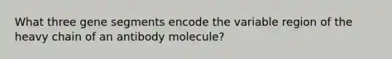 What three gene segments encode the variable region of the heavy chain of an antibody molecule?