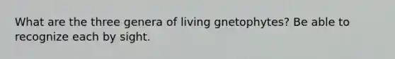 What are the three genera of living gnetophytes? Be able to recognize each by sight.