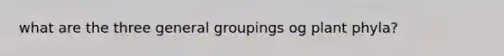 what are the three general groupings og plant phyla?