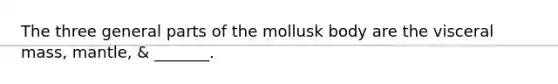 The three general parts of the mollusk body are the visceral mass, mantle, & _______.