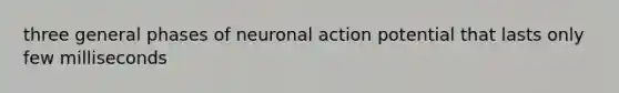 three general phases of neuronal action potential that lasts only few milliseconds