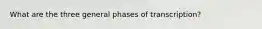 What are the three general phases of transcription?