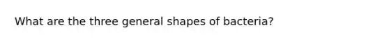 What are the three general shapes of bacteria?