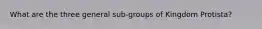 What are the three general sub-groups of Kingdom Protista?