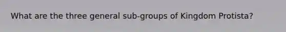 What are the three general sub-groups of Kingdom Protista?