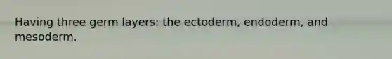 Having three germ layers: the ectoderm, endoderm, and mesoderm.