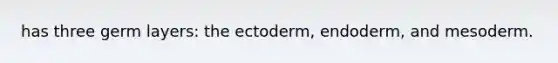 has three germ layers: the ectoderm, endoderm, and mesoderm.