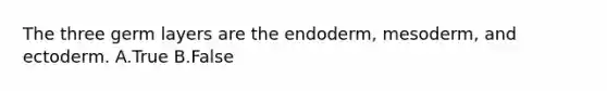 The three germ layers are the endoderm, mesoderm, and ectoderm. A.True B.False