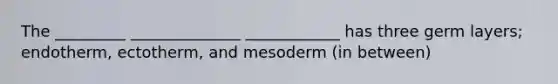 The _________ ______________ ____________ has three germ layers; endotherm, ectotherm, and mesoderm (in between)