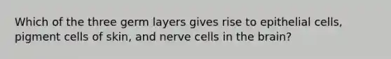 Which of the three germ layers gives rise to epithelial cells, pigment cells of skin, and nerve cells in the brain?