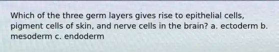 Which of the three germ layers gives rise to epithelial cells, pigment cells of skin, and nerve cells in <a href='https://www.questionai.com/knowledge/kLMtJeqKp6-the-brain' class='anchor-knowledge'>the brain</a>? a. ectoderm b. mesoderm c. endoderm