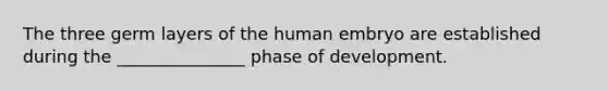 The three germ layers of the human embryo are established during the _______________ phase of development.