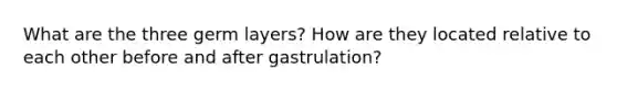 What are the three germ layers? How are they located relative to each other before and after gastrulation?