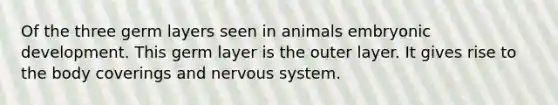 Of the three germ layers seen in animals embryonic development. This germ layer is the outer layer. It gives rise to the body coverings and nervous system.