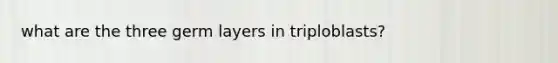what are the three germ layers in triploblasts?